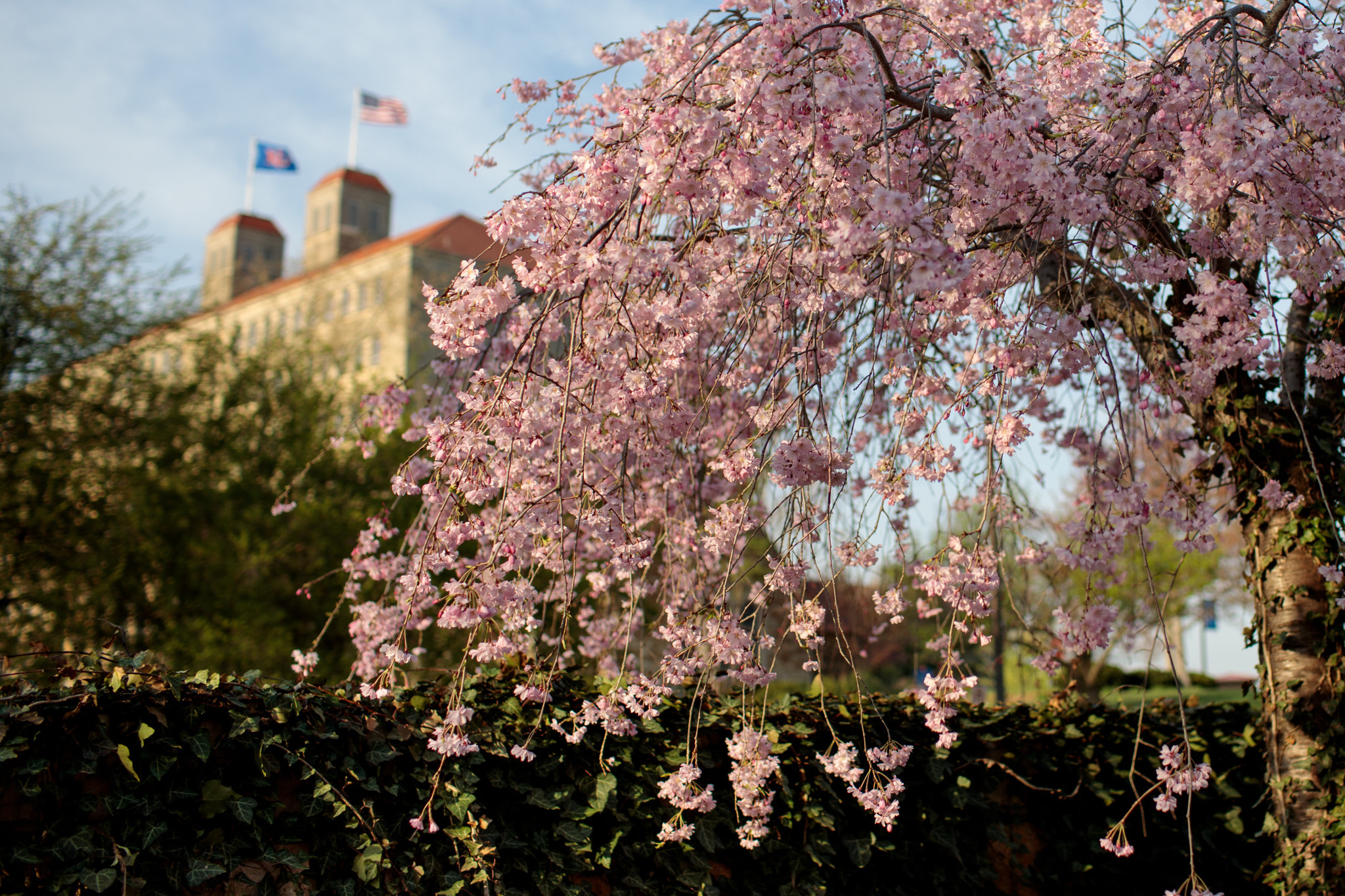 Srong hall on a spring day